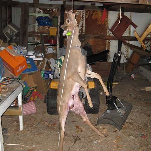 クリックすると拡大します