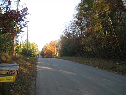 クリックすると拡大します