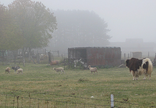 クリックすると拡大します
