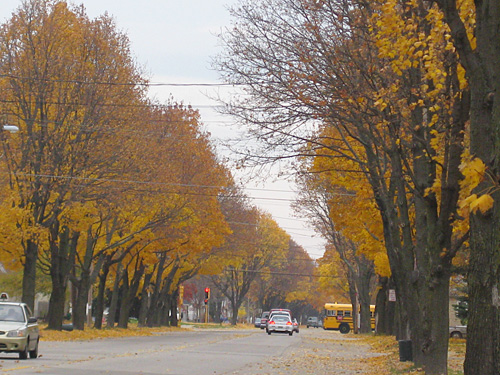クリックすると拡大します